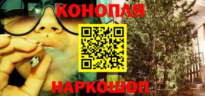 молекула духа Будённовск