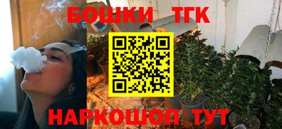 молекула духа Будённовск