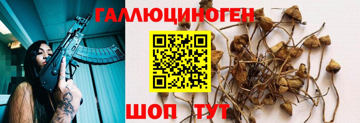Нурлат  Галлюциногенные грибы MAGIC MUSHROOMS  Вход с VPN  Псилоцибиновые грибы Cubensis 